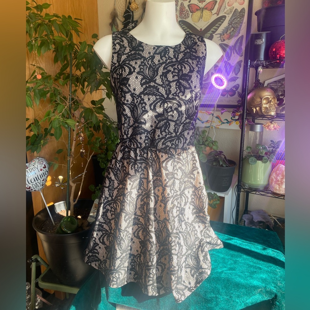 Heartsoul black and nude filigree style zipper skater dress - Size medium